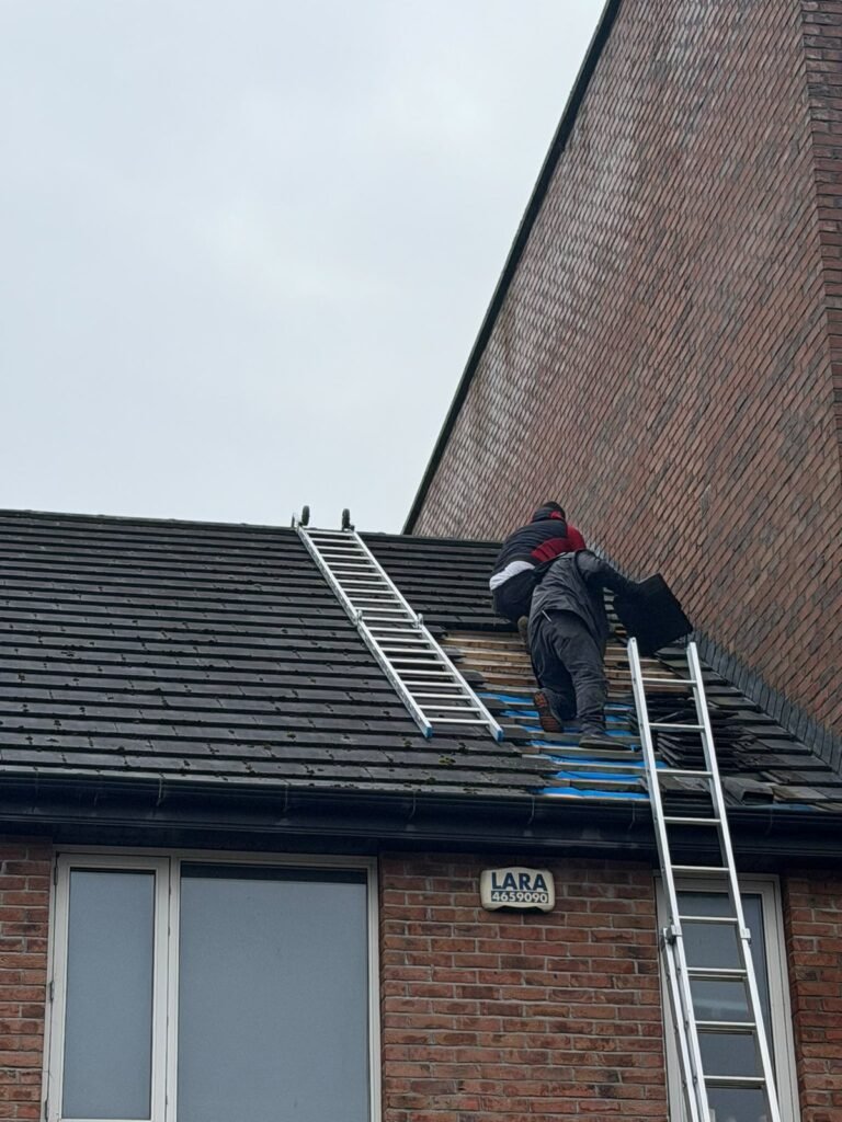 Skyguard roofer on a ladder repairing a roof edge in Dublin
